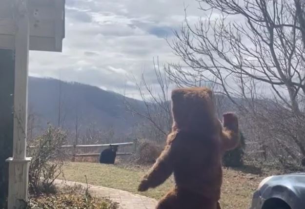 Ảnh cắt từ clip.