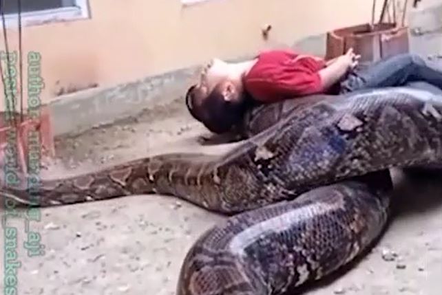 Ảnh cắt từ clip.