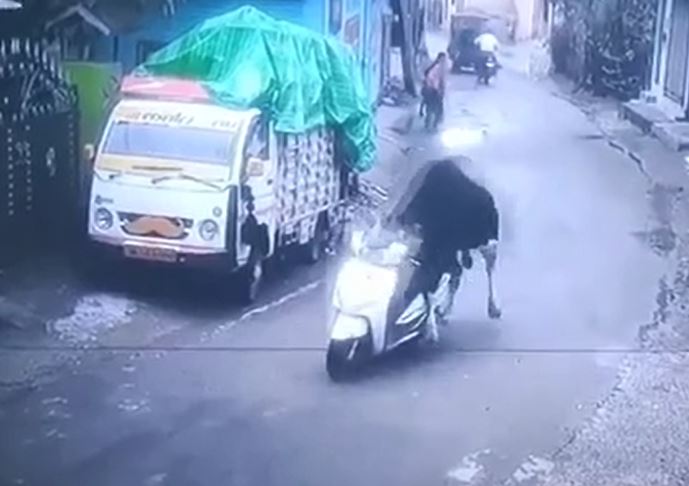 Ảnh cắt từ clip.