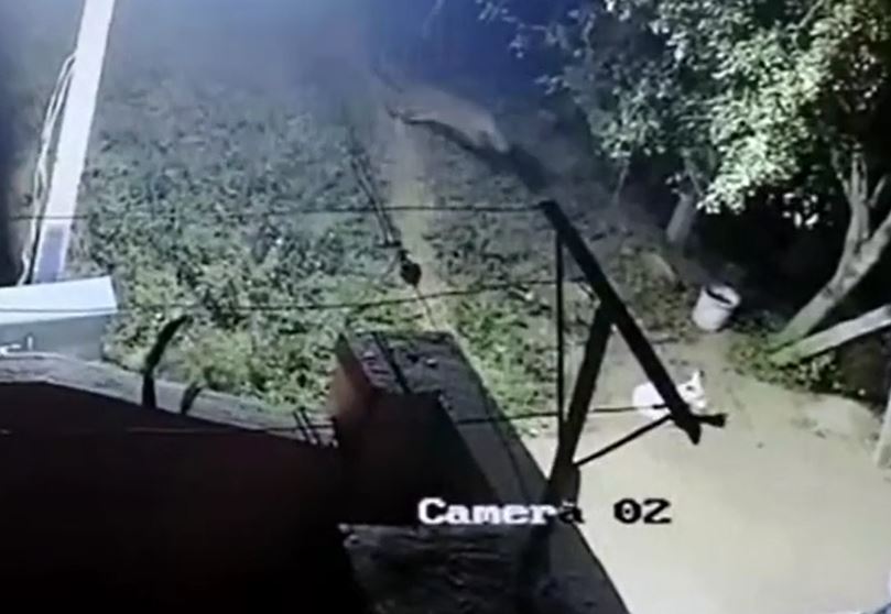 Ảnh cắt từ clip.