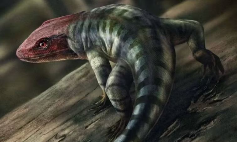 Hình minh họa về một sinh vật giống thằn lằn để lại dấu vết hóa thạch. 