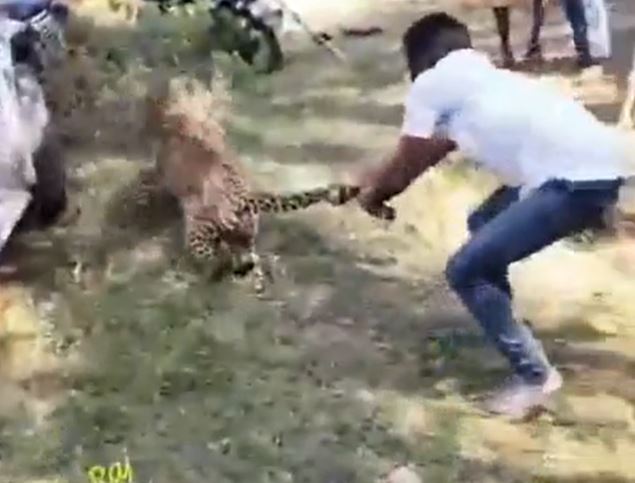 Ảnh cắt từ clip.