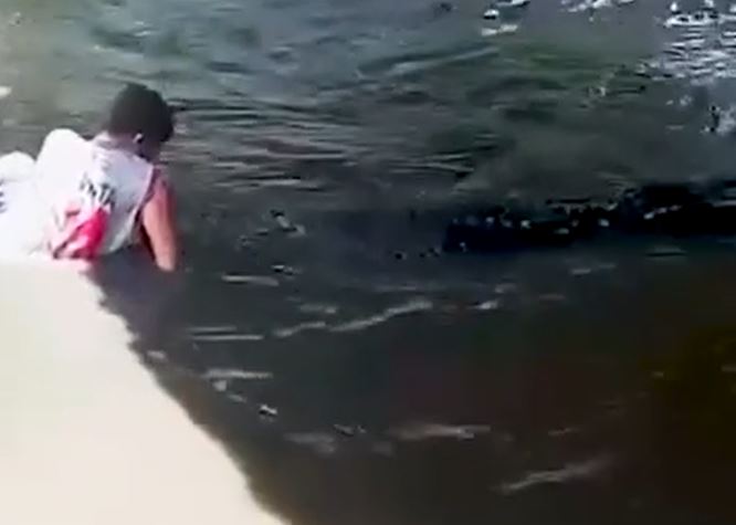 Ảnh cắt từ clip.