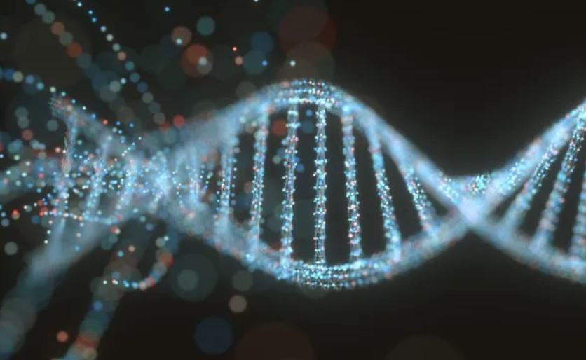 Các nhà khoa học đã sử dụng quá trình tiến hóa có định hướng để tạo ra một hệ thống chỉnh sửa gen mới để sử dụng trong tế bào người.  Ảnh: Getty.