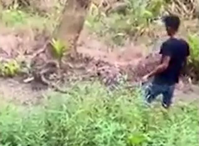 Ảnh cắt từ clip.