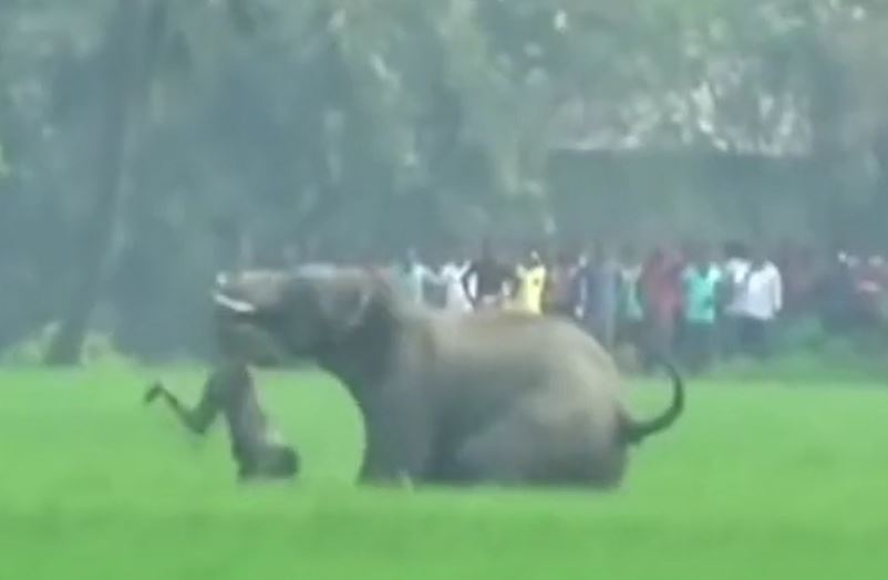 Ảnh cắt từ clip.