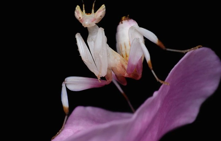 Ảnh cắt từ clip.