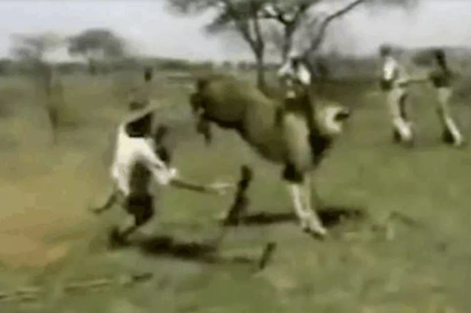 Ảnh cắt từ clip.