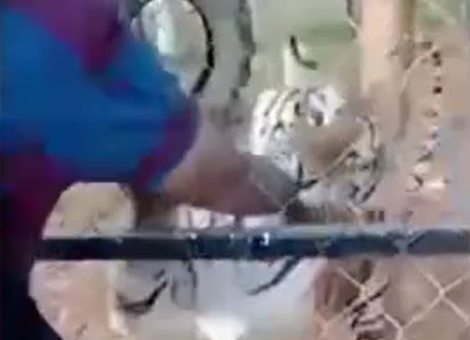 Ảnh cắt từ clip.