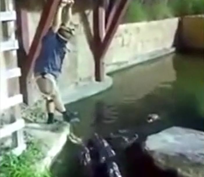 Ảnh cắt từ clip.