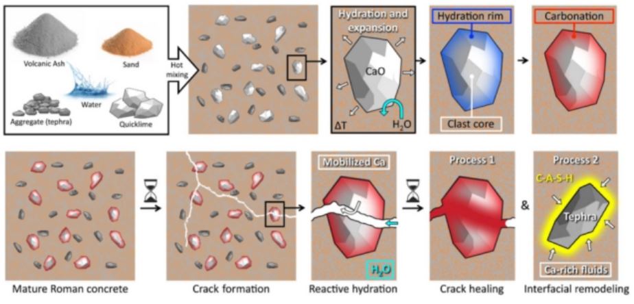 Sơ đồ cơ chế đề xuất để tự chữa lành bên trong cối La Mã cổ đại.