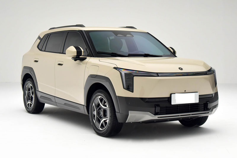 Dongfeng Nano 06 2025.