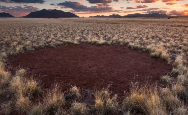 Vòng tròn kỳ lạ trên đám cỏ.