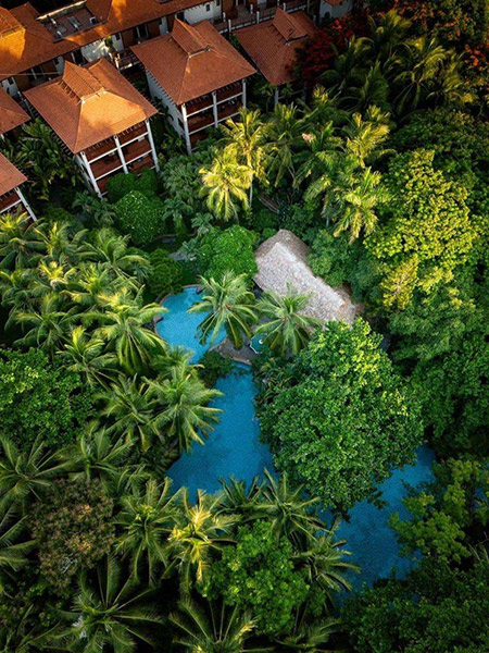 Khu vườn nhiệt đới Lagoon nhìn từ trên cao 