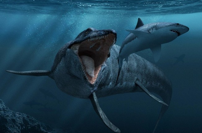"Rồng biển" kỷ Phấn Trắng - Ảnh đồ họa: EXTINCT ANIMALS