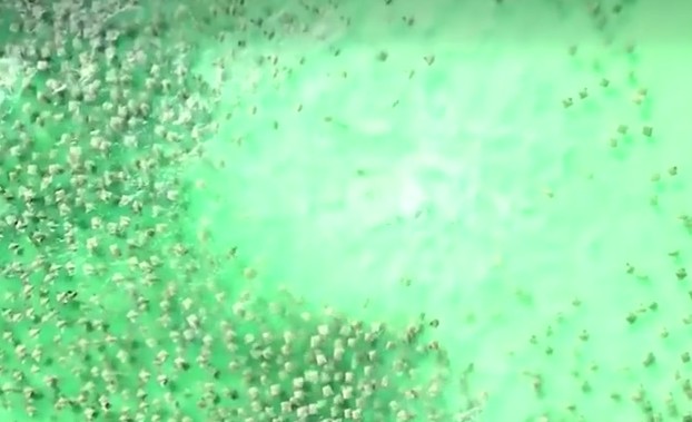 Ảnh cắt từ clip.