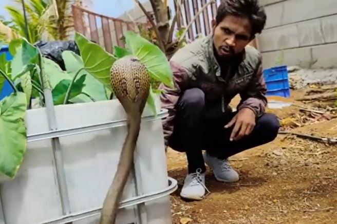 Ảnh cắt từ clip.