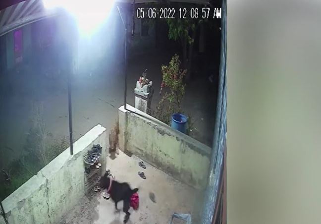 Ảnh cắt từ clip.