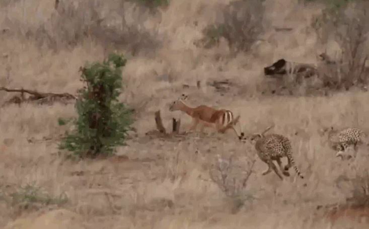 Ảnh cắt từ clip.