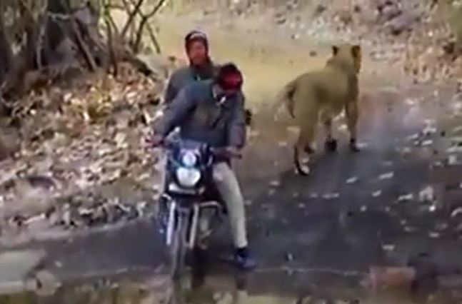 Ảnh cắt từ clip.