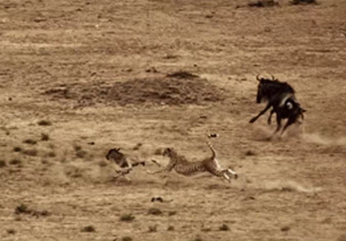 Ảnh cắt từ clip.