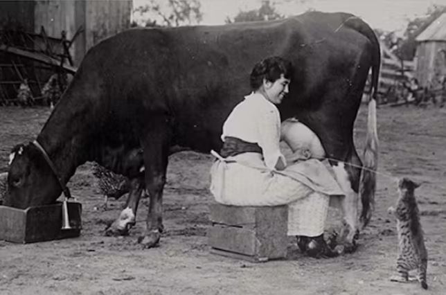 Bức ảnh này được chụp vào năm 1921.