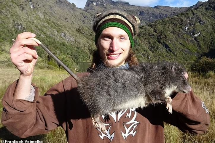 Một nhà khoa học đã phát hiện ra một loài chuột khổng lồ có kích thước hơn hai feet rưỡi. Nhà phát hiện tự hào František Vejmělka được chụp ảnh cùng con chuột khổng lồ trong môi trường sống tự nhiên của nó ở độ cao 12.000 feet (3.700 mét) so với mực nước biển. Mẫu vật này đã chết, bị giết bởi một con chó săn của thợ săn địa phương. 