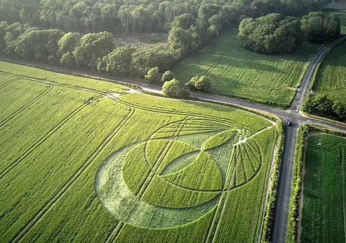 Ngày 19/5, một vòng tròn trên đồng ruộng thứ hai được phát hiện cách nút thắt Celtic 30 dặm, tại hạt Dorset của Vương quốc Anh.