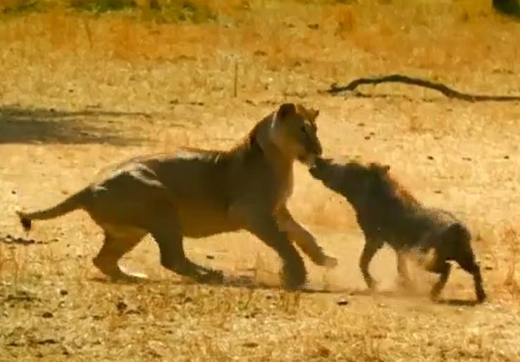 Ảnh cắt từ clip.