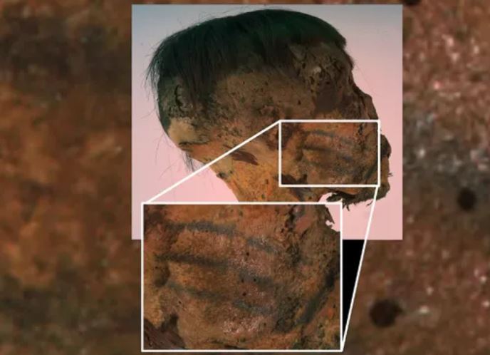 Má phải của xác ướp có hình xăm ba đường màu đen nằm ngang. 