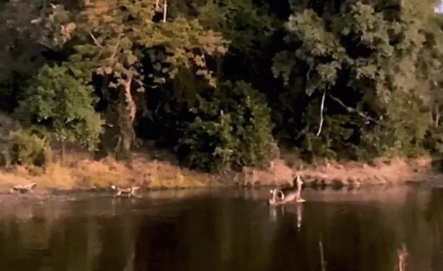 Ảnh cắt từ clip.