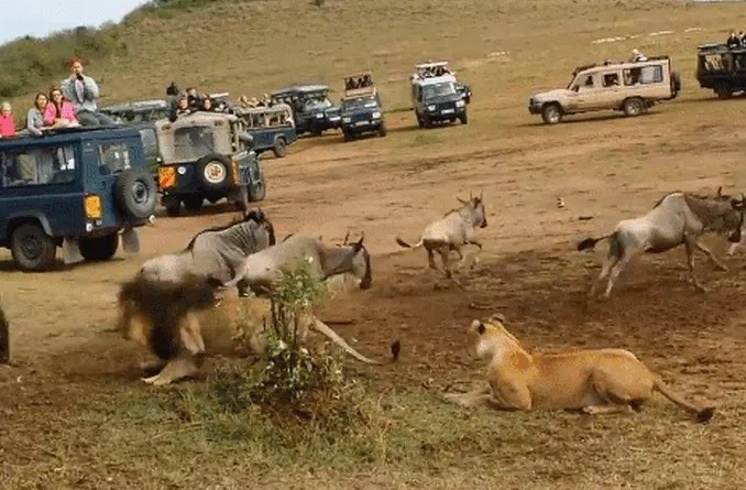 Ảnh cắt từ clip.