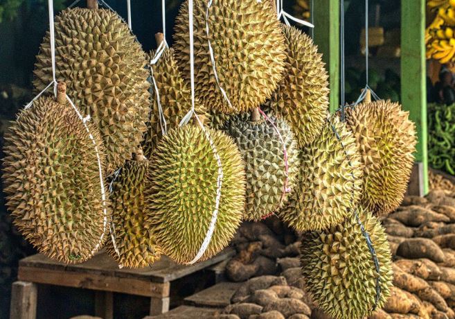 Chọn sầu riêng sao cho đúng? Người bán lâu năm tiết lộ bí quyết chọn quả ngon, cơm dày, hạt lép