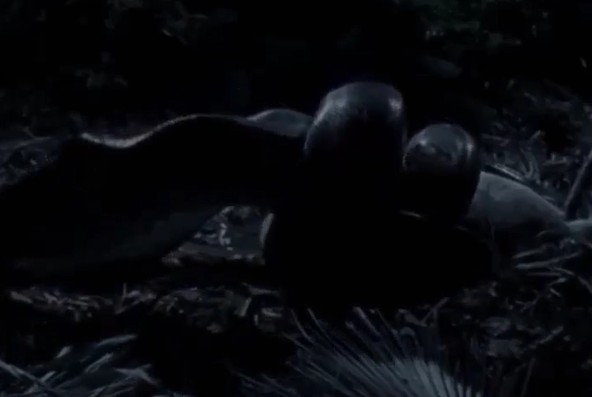 Ảnh cắt từ clip.