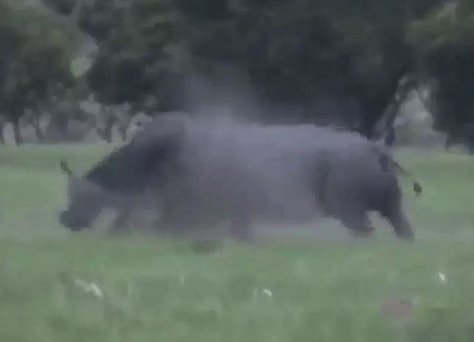 Ảnh cắt từ clip.