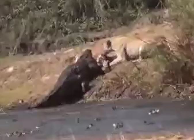 Ảnh cắt từ clip.