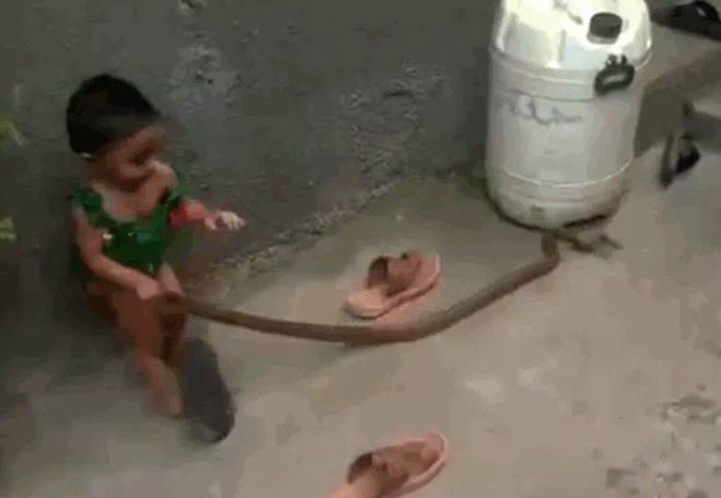 Ảnh cắt từ clip.