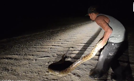 Ảnh cắt từ clip.