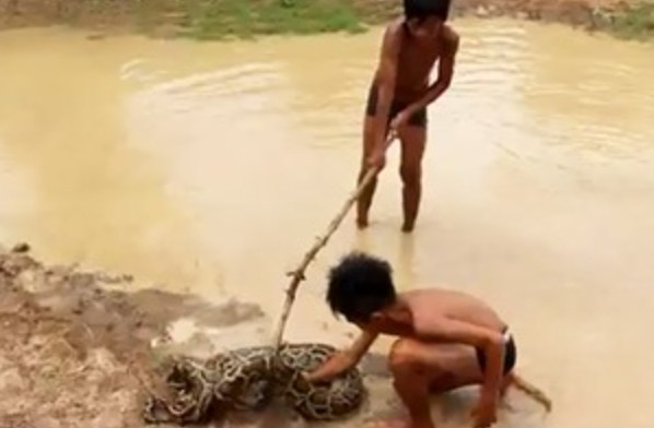 Ảnh cắt từ clip.