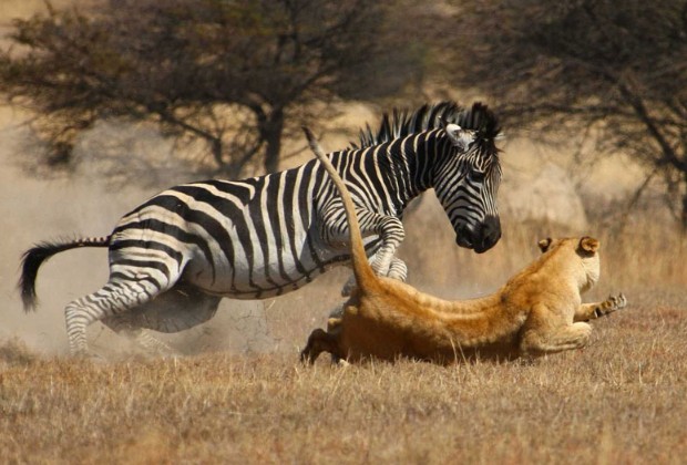 Ảnh cắt từ clip.