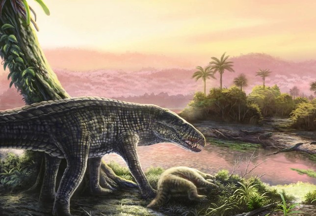 Quái vật tiền sử Sebecids - Ảnh đồ họa: Jorge Machuky