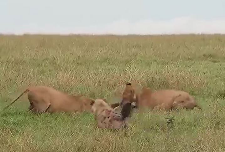 Ảnh cắt từ clip.