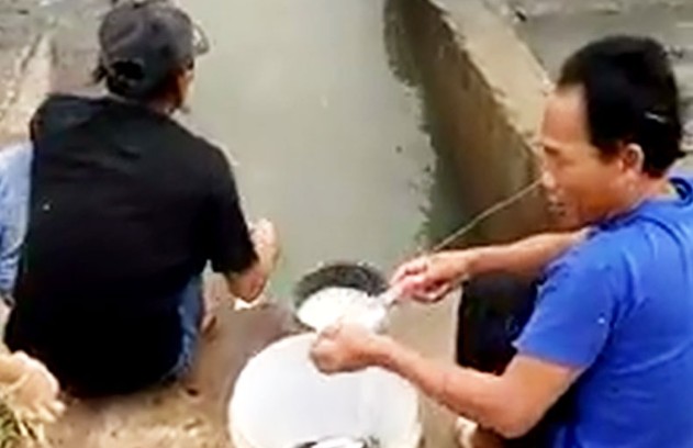 Ảnh cắt từ clip.