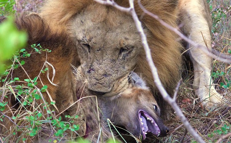 Ảnh cắt từ clip.