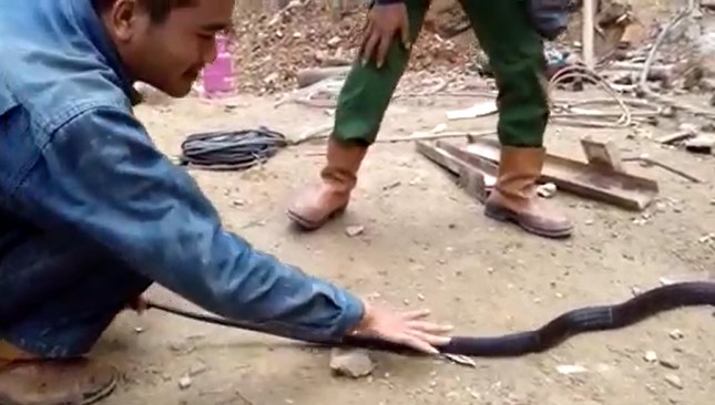 Ảnh cắt từ clip.