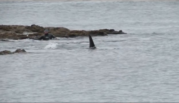 Ảnh cắt từ clip.