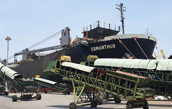 Tàu Osmanthus (Panama) tải trọng 49.794 DWT vào làm hàng dăm gỗ tại cầu cảng TS1A bến Tiên Sa.