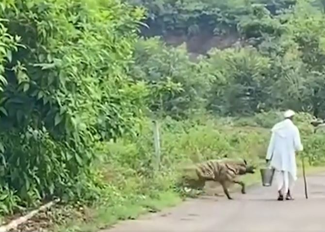 Ảnh cắt từ clip.