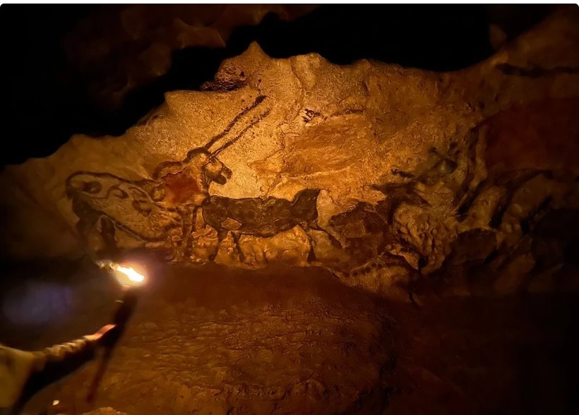 Ảnh: Nguyễn Thu Hà/TTXVN