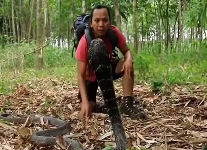 Ảnh cắt từ clip.